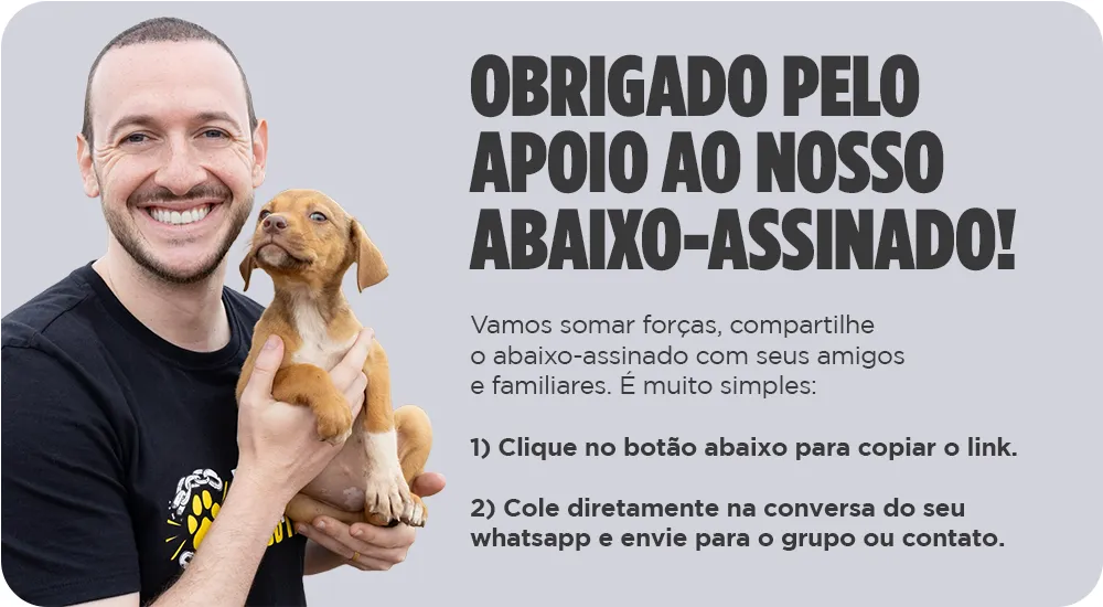agradecimento