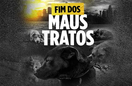 arte_maus_tratos